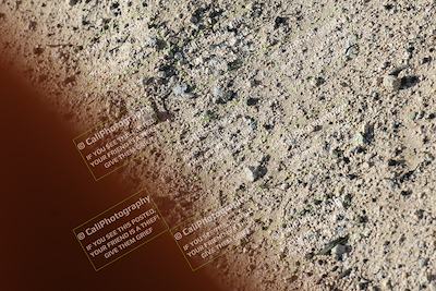 media/Jan-09-2026-Support Moto Racing (Fri) [[386df380ef]]/1-Racer Group/Practice 1 (Turn 12 Inside)/
